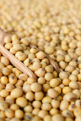 Fresh soybeans on a wooden shovel spoon with soybeans background. Raw soybeans. Food ingredients