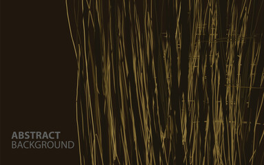 abstract background Texture of wood nature concept