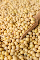 Fresh soybeans on a wooden shovel spoon with soybeans background. Raw soybeans. Food ingredients