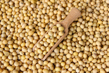 Fresh soybeans on a wooden shovel spoon with soybeans background. Raw soybeans. Food ingredients