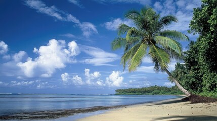 A tall coconut tree with lush green fronds swaying under a bright blue sky on a tropical beach.