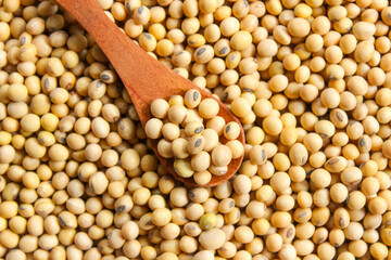 Fresh soybeans on a wooden spoon with soybeans background. Raw soybeans. Food ingredients.