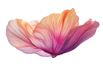 Dreamy flower petal unfolding in radiant light a symbol of delicate strength and transient beauty against a stark black backdrop ethereal soft focus effect