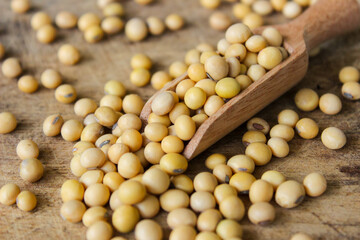Fresh soybeans on a wooden shovel spoon with wooden background. Raw soybeans. Food ingredients