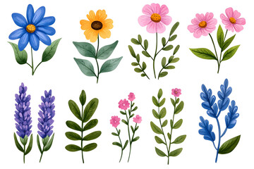 Watercolor wildflowers and leaves illustration set isolated on white