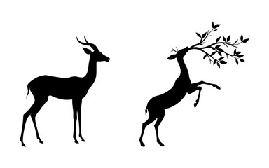 Gerenuk Animal Black Silhouette Collection Vector Design 