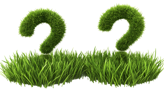 Isolated Illustration of Green Grass Question Marks on Transparent Base