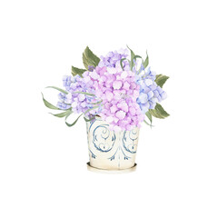 Watercolor Hydrangea Flowers in a Pot, Illustration on Transparent Background, Delicate Garden Blue and Purple Flowers in a White Ceramic Pot for Design and Decoration