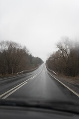  Wet Highway Road Through Forest on a Gloomy Day