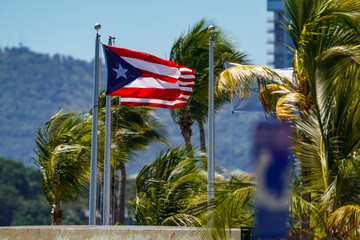 Puerto Rico flag flying with palm trees 