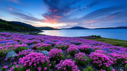 Fototapeta premium Sunset Landscape with Vibrant Purple and Blue Wildflowers Blooming near a Calm Lake