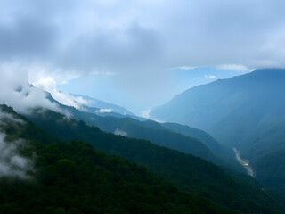Naklejka premium Misty Mountain Valley with Verdant Forest Canopy