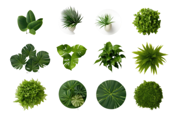 Set of round green garden wall panels on transparent background