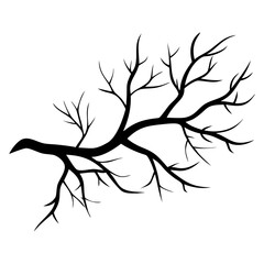 A tree branch vector silhouette