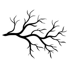 A tree branch vector silhouette