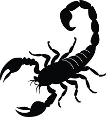 Black and white scorpion silhouette, ideal for logos, branding, and wildlife-themed digital art.