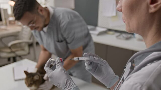 Close up view of veterinarian in gloves filling syringe with vaccine while her assistant comforting cat on examination table before injection in clinic