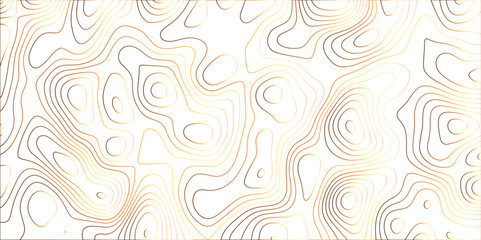 Topographic canyon geometric map relief texture with curved layers and shadow. abstract White background with a beautiful pattern, Topographic contour lines vector map seamless pattern vector.