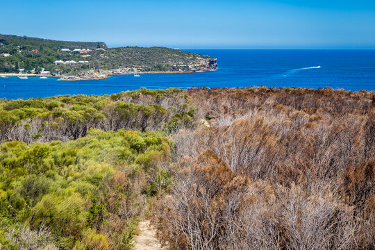View over Bushland and Coastline of North Head seen from Dobroyd Head Lookout, Sydney, Australia.