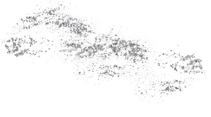 Fototapeta premium PNG Silver Particles, Silver Foil, Gold Flakes, Silver Brush Stroke. png transparent background. Abstract png design element. Premium design,wedding,vip cover template,grand opening,flyer