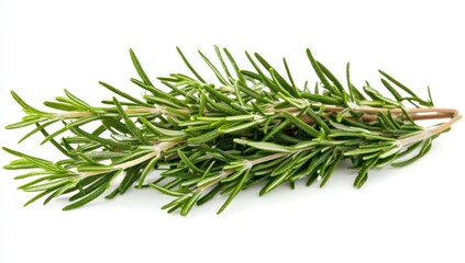 Fototapeta premium Fresh Rosemary Sprigs Isolated on White for Culinary Herb Uses