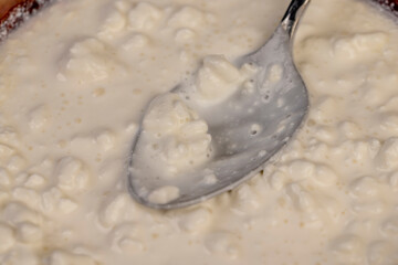 cottage cheese made from lumps with cream close-up