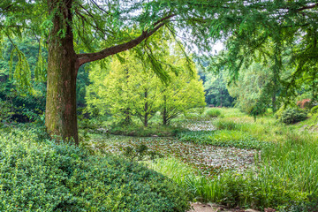 경기도 포천시 국립수목원 여름 풍경 (광릉수목원)