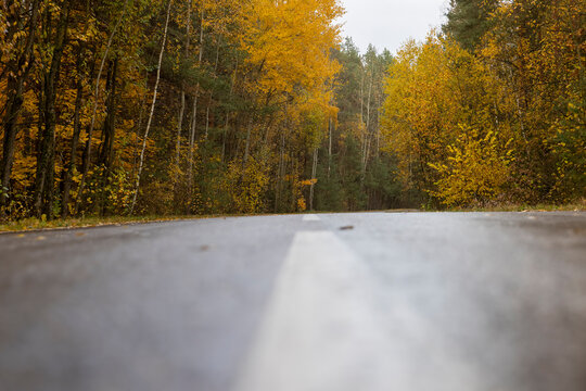 a small paved road in autumn is wet after rain