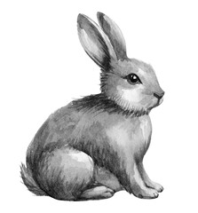 Gray rabbit resting quietly in a garden during springtime with soft sunlight illuminating its fur