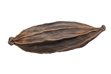 A captivating glimpse into the ancient essence of dried seed pod's rustic beauty showcasing intricate details with sharp focus on its rugged texture details.