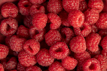 fresh red raspberries on the table