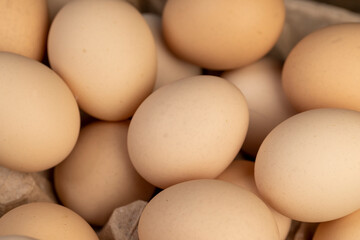 fresh large chicken eggs during packaging