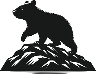 wombat vector