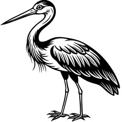 Obraz premium Great Blue Heron illustration:Elegant illustration of a Great Blue Heron, a large wading bird with long legs, neck and beak. The detailed line art showcases its graceful posture. 