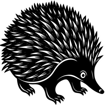 Echidna's Portrait: A detailed illustration of an echidna in a striking graphic style, showcasing its spiky exterior and unique features. 