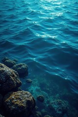 Dark blue ocean surface with gentle ripples and seaweed, oceanic, underwater, blue