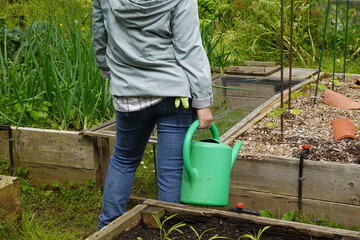 close up woman with watering can ready to irrigate crops in vegetable garden