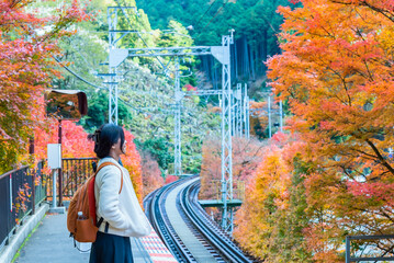 Woman tourist waiting for the train at railway station with autumn leaves background in Kyoto Japan.