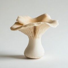 Fototapeta premium Fresh oyster mushroom with soft beige color showcasing intricate gills and smooth texture