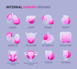 Internal human organs icon set in glass morphism style. Vector symbol