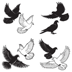 Pigeon silhouette, flying dove silhouette vector on white background