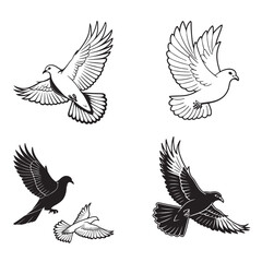 Pigeon silhouette, flying dove silhouette vector on white background