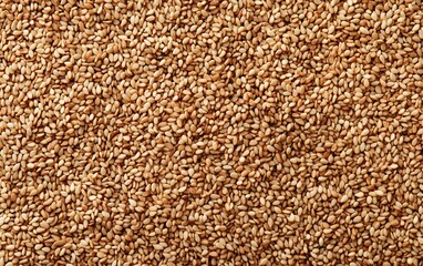 High-Resolution Photo of Sesame Seeds Background Texture
