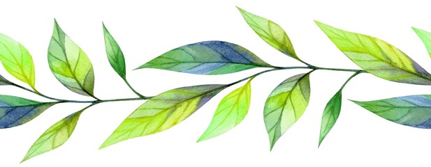 Green watercolor leaves create a serene and natural border design for creative projects and decorations