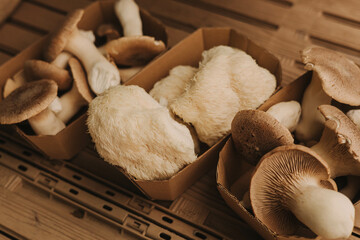 Close-up of exotic mushrooms in a paper boxes, champignons grown gourmet. Organic produce on sale...