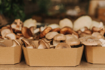 Close-up of exotic mushrooms in a paper boxes, champignons grown gourmet. Organic produce on sale at outdoor farmer market. Selling fresh crops and veggies harvest. European urban setting