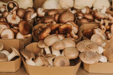 Close-up of exotic mushrooms in a paper boxes, champignons grown gourmet. Organic produce on sale at outdoor farmer market. Selling fresh crops and veggies harvest. European urban setting