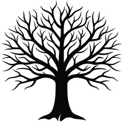 Fototapeta premium Black Silhouette of a Tree with Bare Branches on White Background Isolated