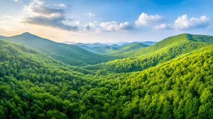 Obraz premium landscape with green grass and blue sky