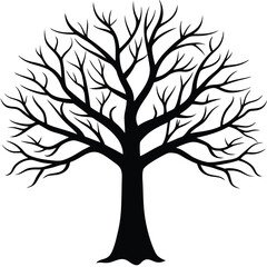 Obraz premium Minimalist Black Tree Silhouette with Detailed Branches Against a White Background